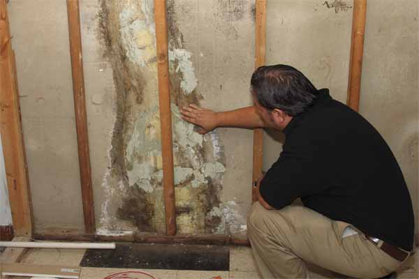 Here is why getting a Boston North Shore home inspection is not a waste of money.